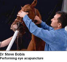 Dr Steve Bobis Eye Acupuncture